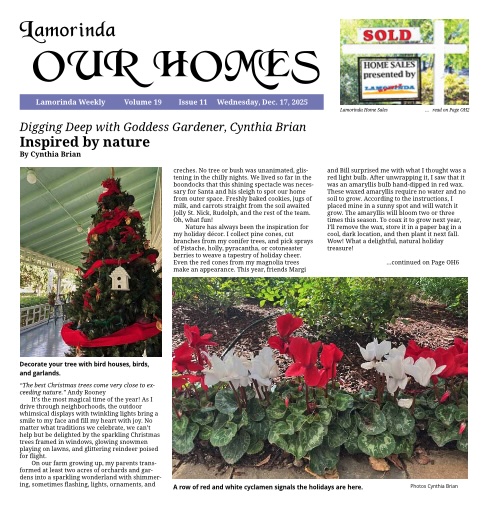 Our Homes cover