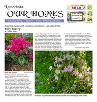Our Homes cover