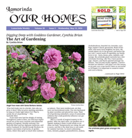Our Homes cover