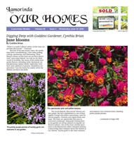 Our Homes cover