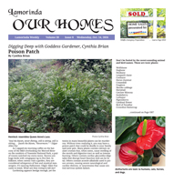 Our Homes cover