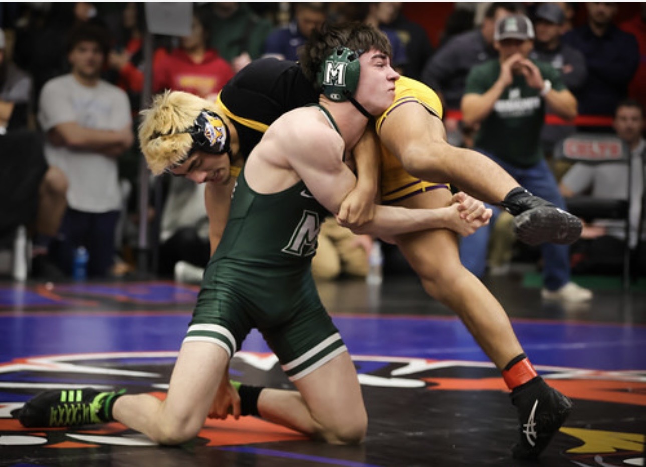 Miramonte wrestler Finn Hura (green) preparing to pin his opponent from Ukiah.