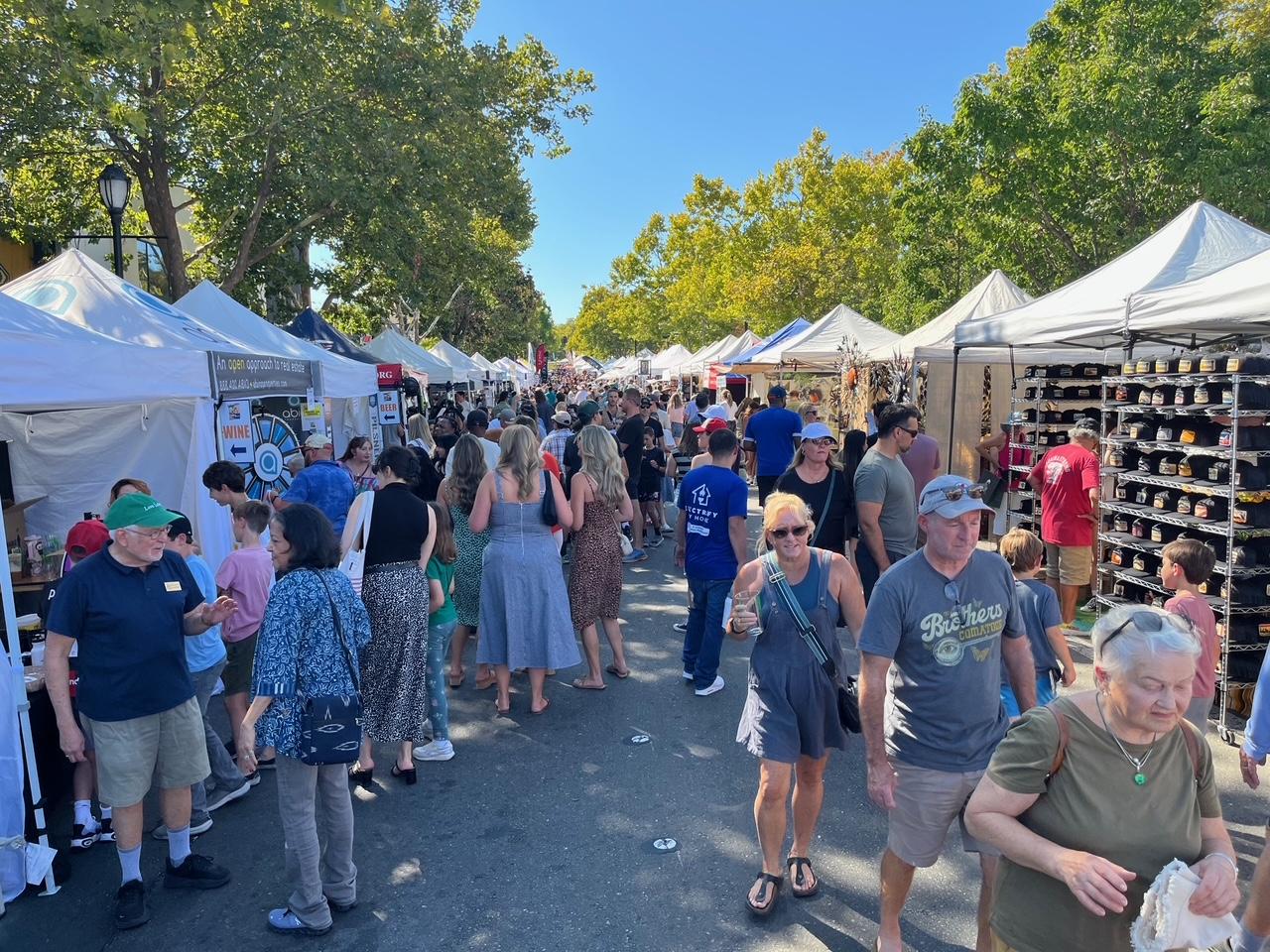 Arts and crafts, as well as food and drink booths line Mt. Diablo Boulevard during last year’s Festival.