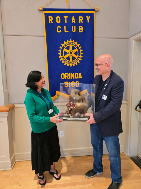 Orinda Citizens of the Year announced