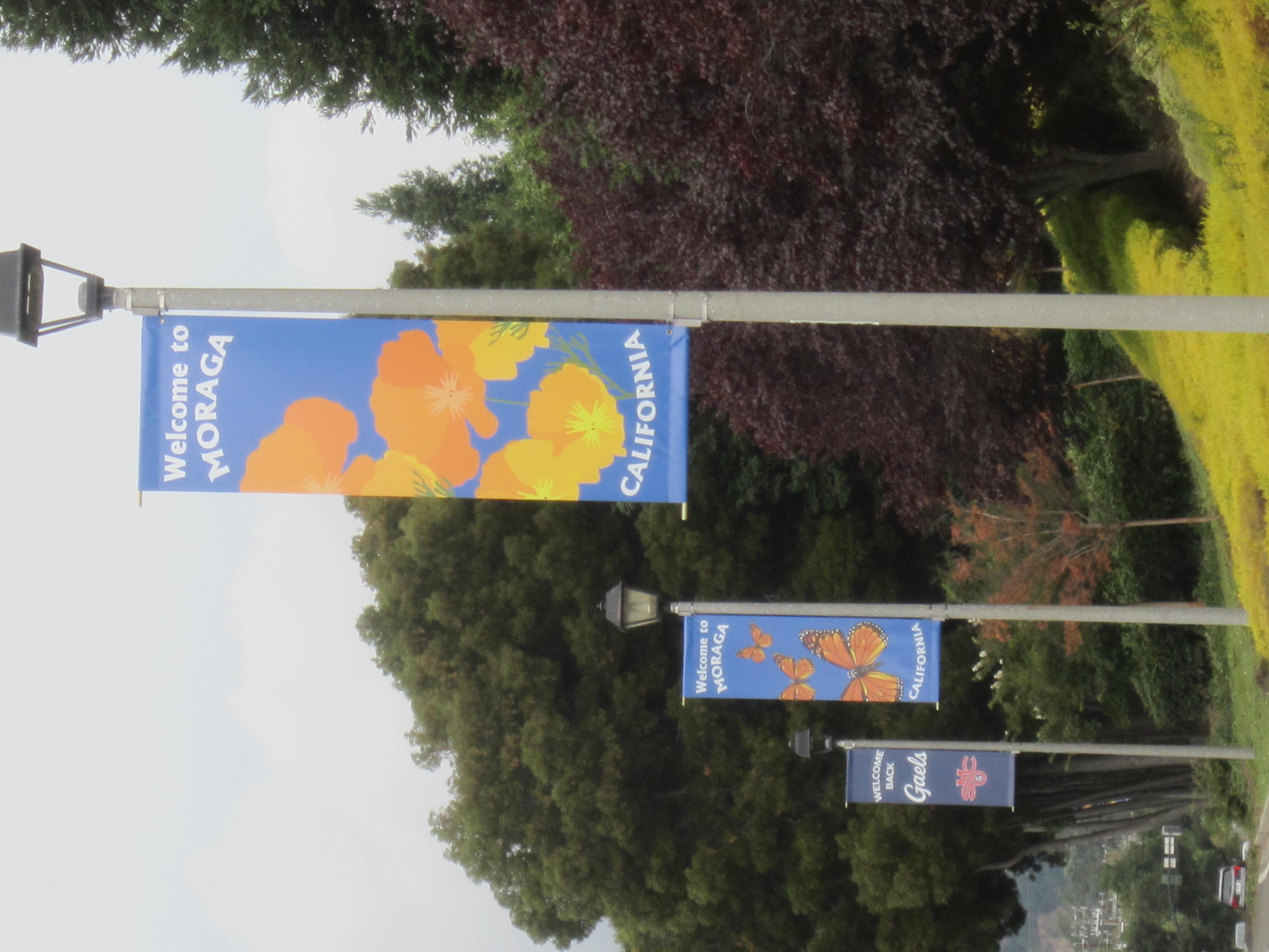 New banners line Moraga Way at the Town's entrance from Orinda.
