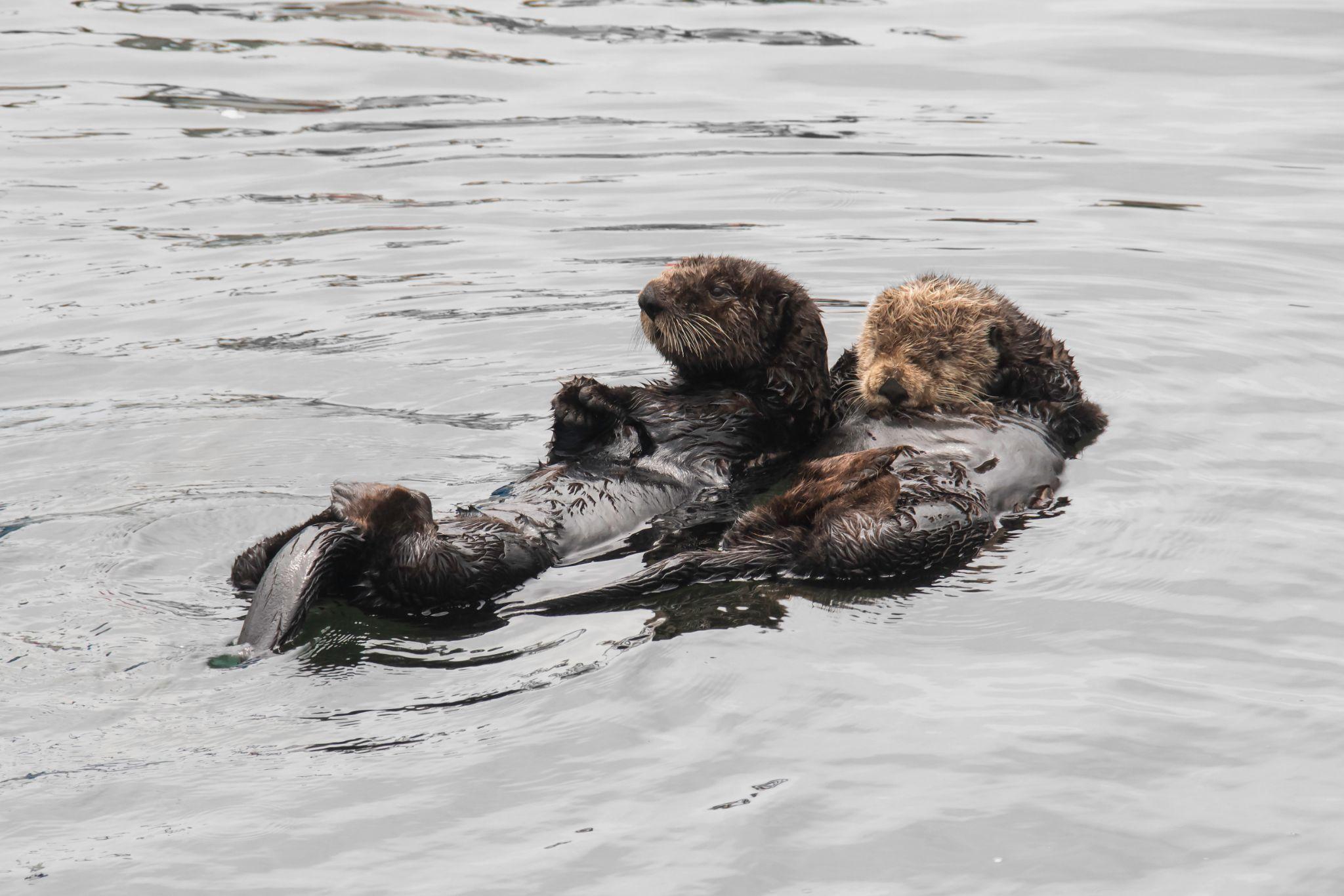 The quiet wealth of relationships as we age