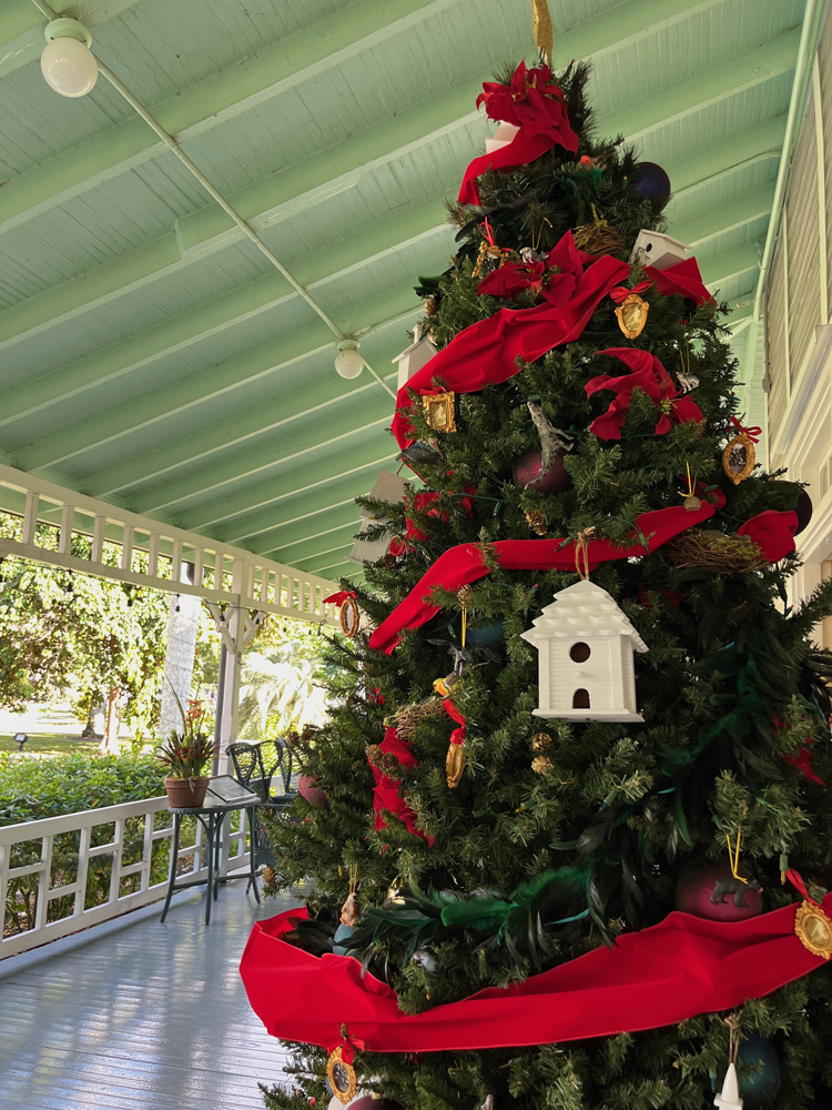 Decorate your tree with bird houses, birds, and garlands.