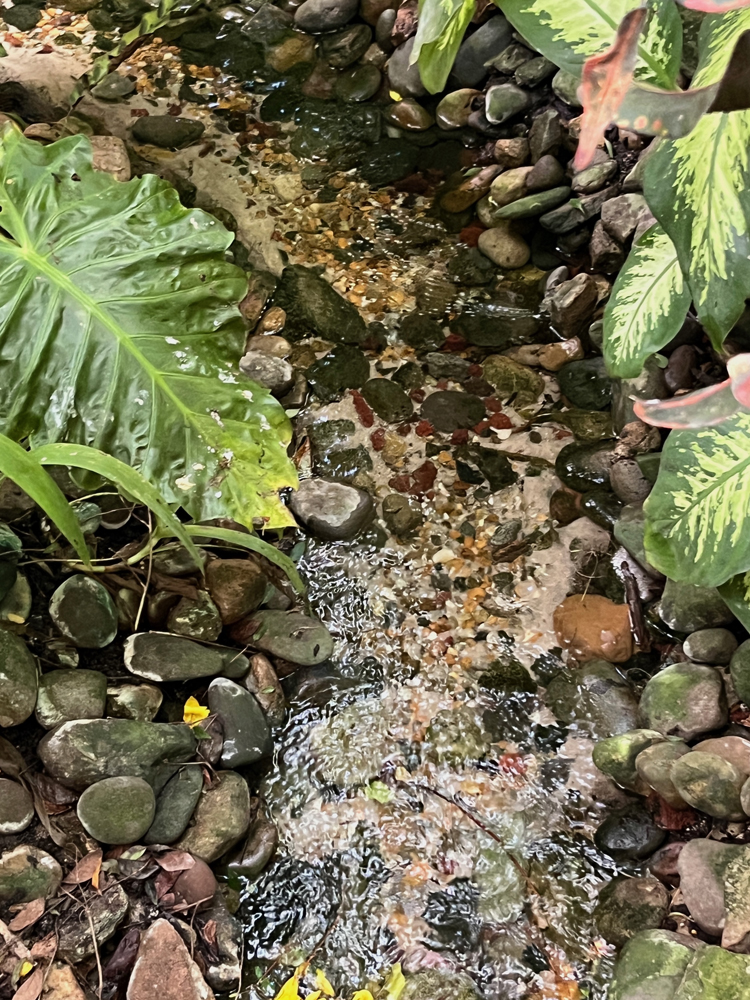 Turn a soggy area into a dry creek that doubles as a canal in winter.