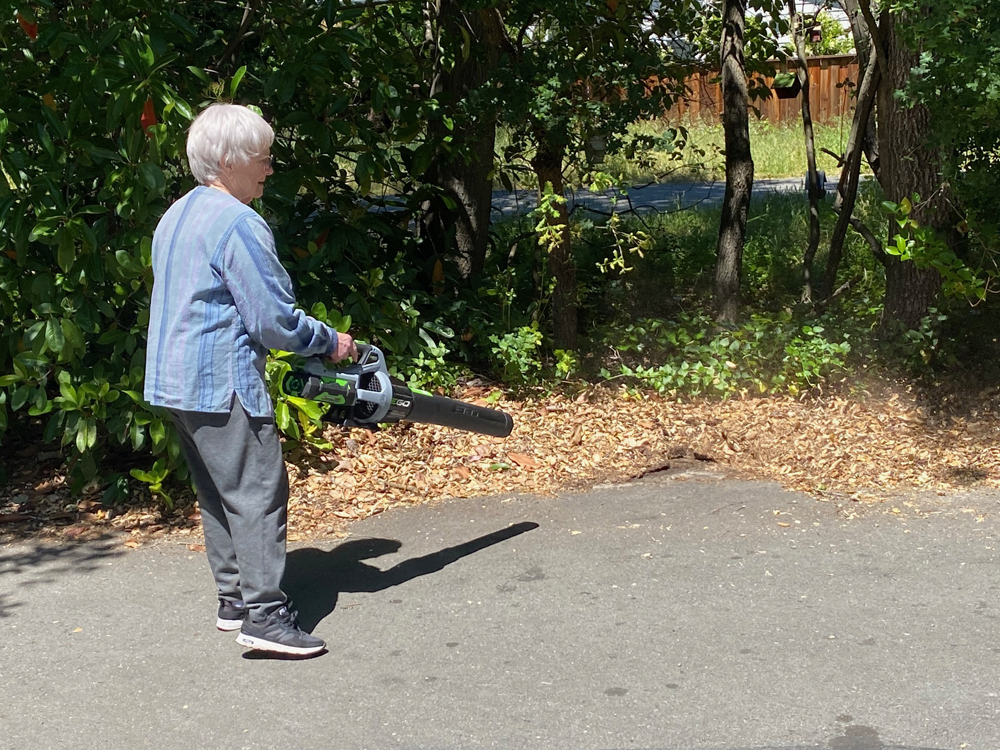 Lafayette resident Dorothy Walker tries out a hand-held electric leaf blower.
