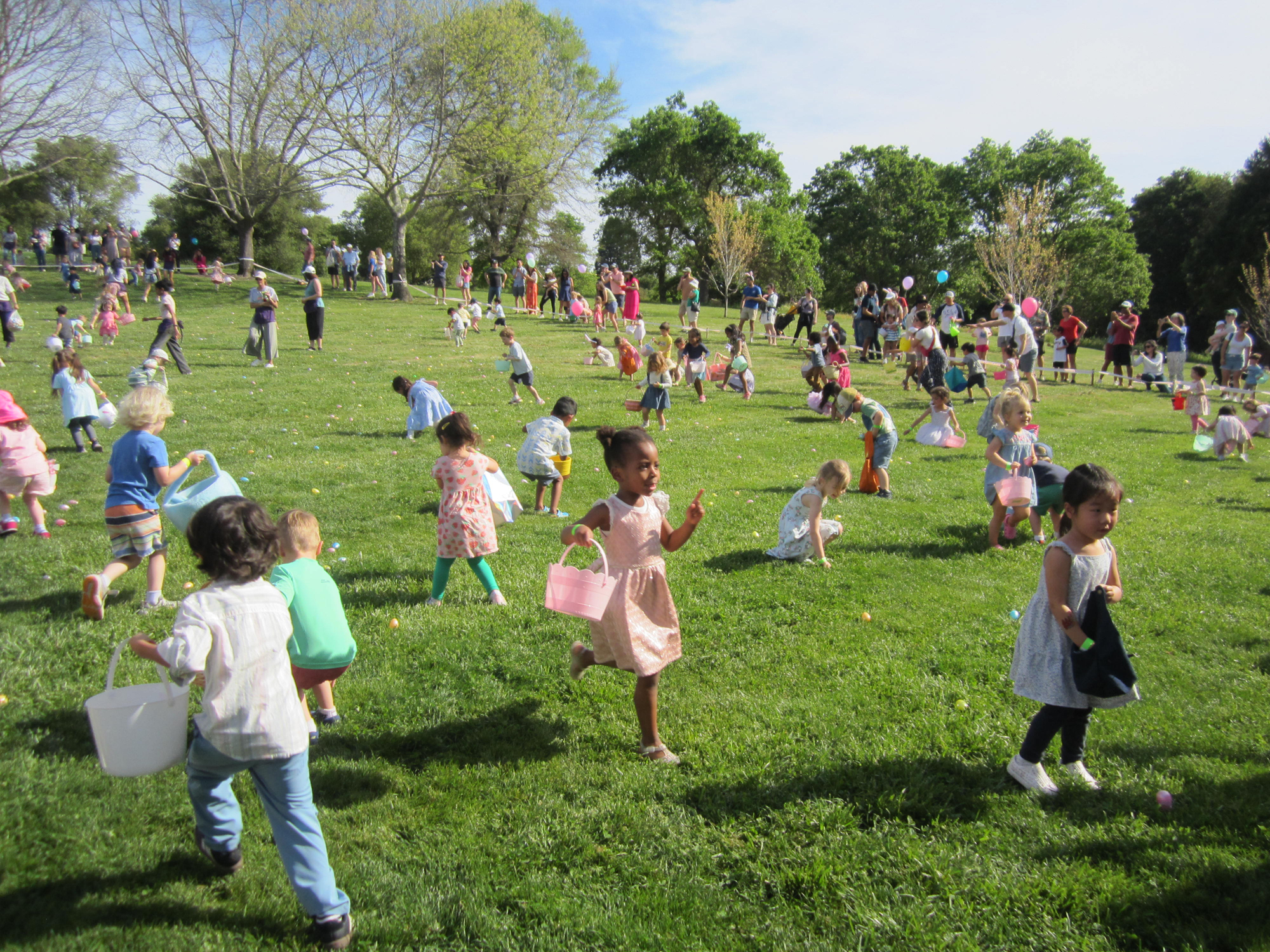 Egg Hunt participants in Moraga on March 21 make a mad dash to find as many eggs as a basket can carry.