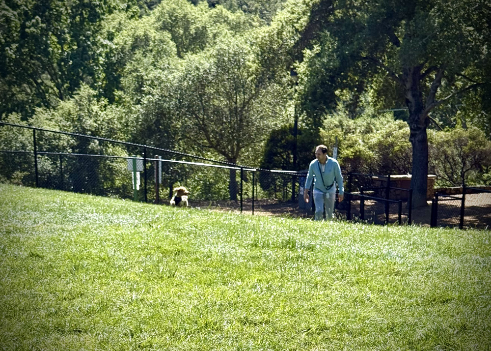 James Chase and his pup Paddington enjoy the new dog park at Orinda Oaks.