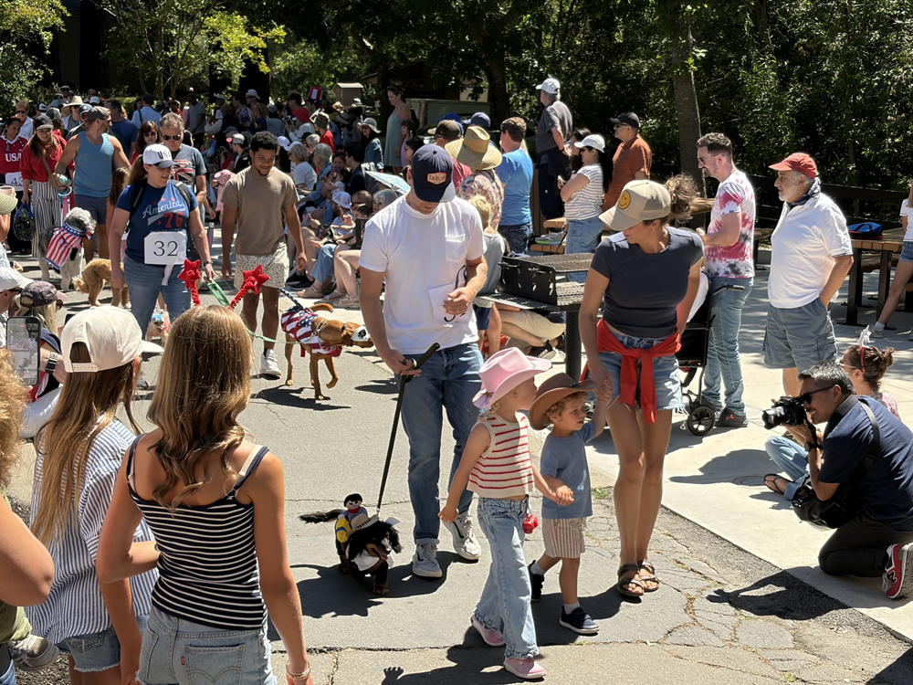 Families and their pets gathered at Moraga Commons Park July 4, enjoying games, jumpy houses, and cheering on the famous dog parade.