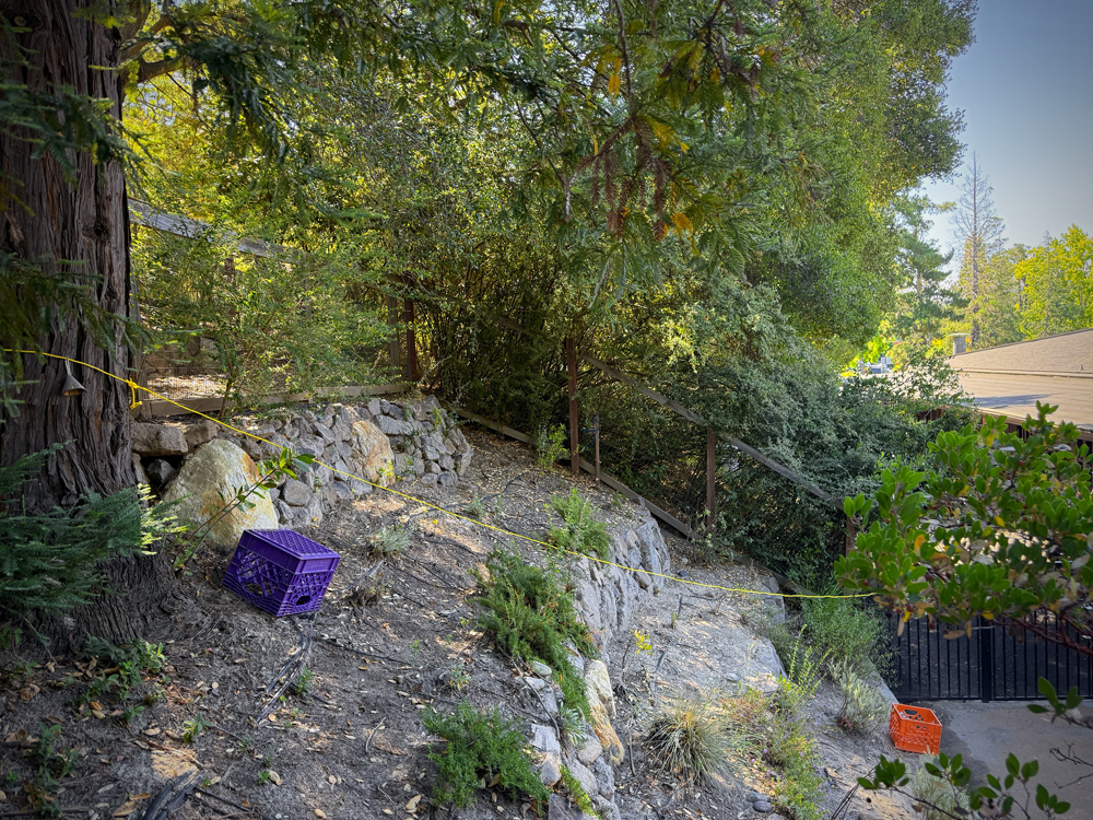 The yellow rope indicates roughly where the retaining wall will be built for Vista Verde Senior Housing. This corner has been used as part of the outdoor classroom by The Orinda Preschool.