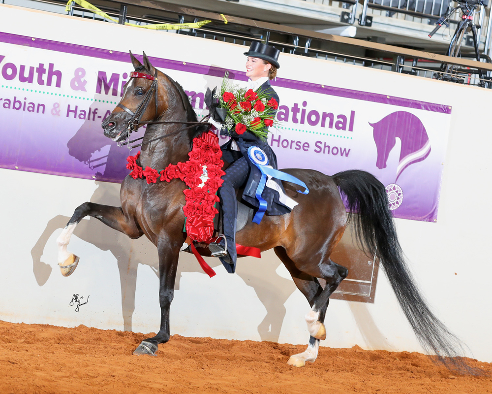 Acalanes rising senior selected for 2026 USA Saddle Seat World Cup Team