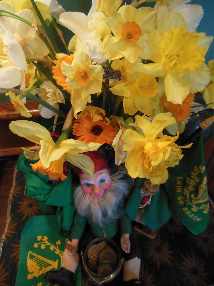 A St. Patrick’s Day arrangement of fluffy plumes of various daffodils.